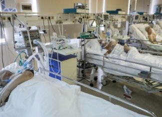 Коронавирусом в России заразились еще 8053 человека