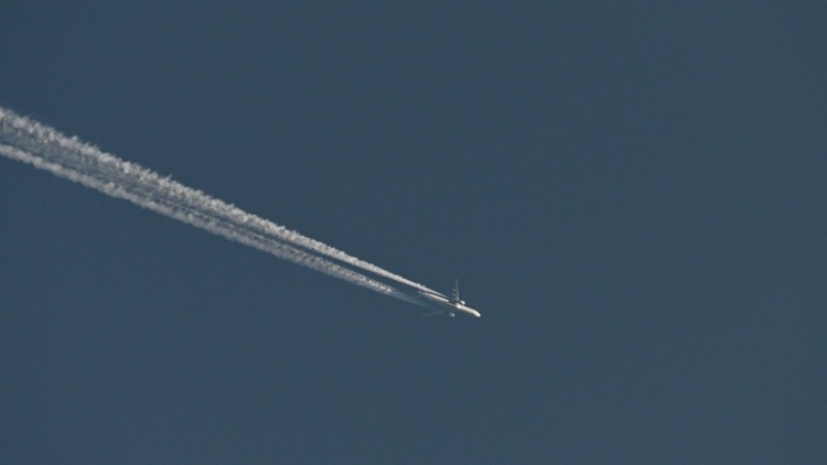 "Белавиа" приостанавливает авиасообщение с Литвой