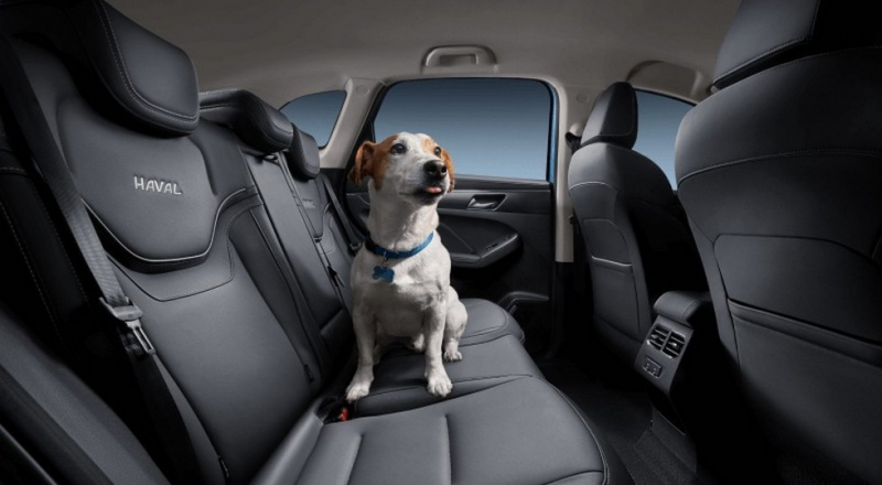 Кроссовер Haval Jolion пришёл в Россию: местная сборка, есть полный привод