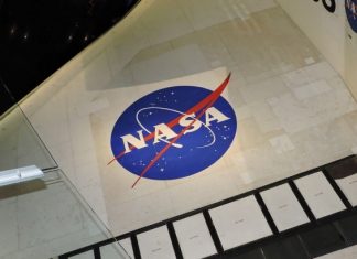 NASA приостановило контракт со SpaceX по разработке и созданию лунного модуля