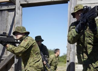 Политолог рассказал, почему Литва на учениях НАТО выступит в роли «заряжающего»
