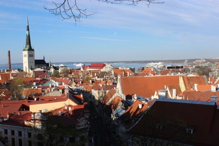 Расширение посольства США в Таллине вызвало негодование местных жителей 