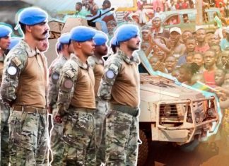 Статью RFI о российских инструкторах в ЦАР назвали подлой и недостоверной