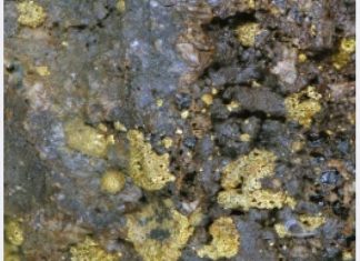 В Амурской области в январе произвели 1090 кг рудного золота