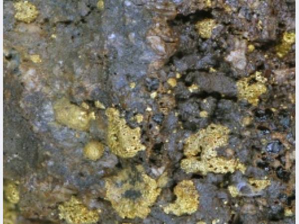 В Амурской области в январе произвели 1090 кг рудного золота