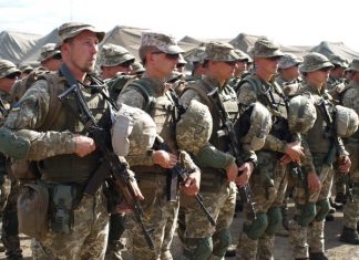 Эксперт указал на скрытые цели НАТО во время совместных учений с Украиной