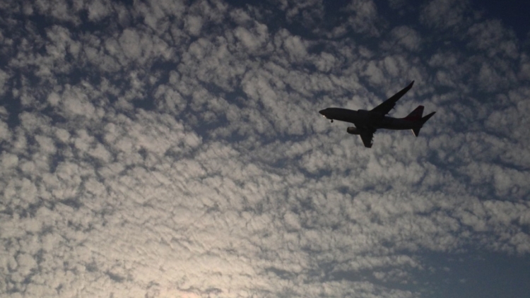 Киев пытается запугать Минск санкциями в случае полетов "Белавиа" в Крым