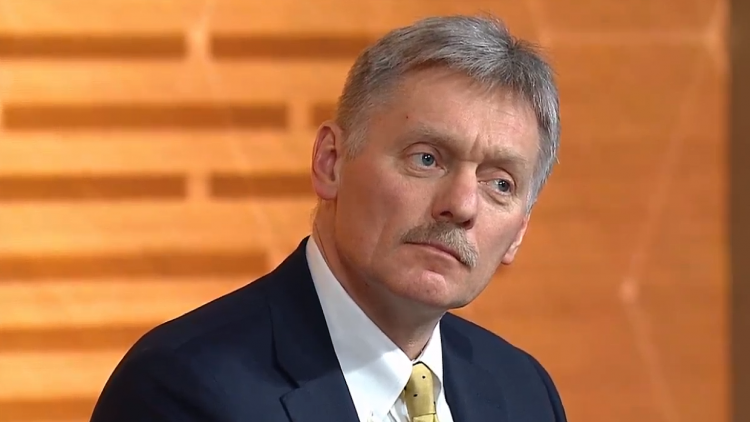 Песков: тема прав человека относится к внутренней повестке государств 