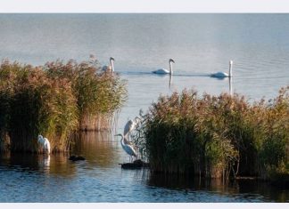 Северсталь приступает к строительству новых очистных сооружений