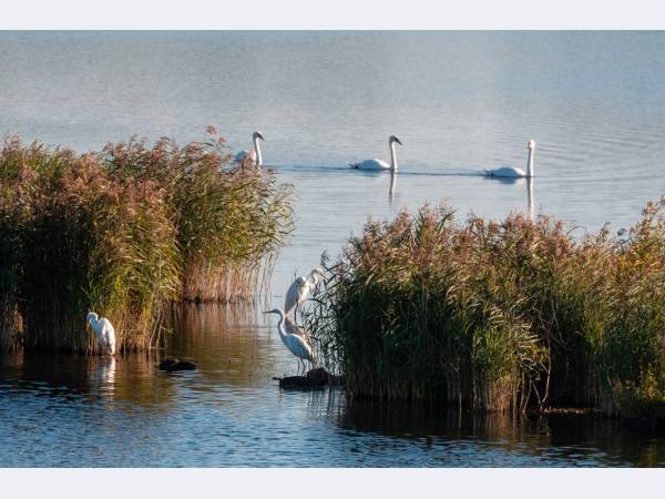 Северсталь приступает к строительству новых очистных сооружений