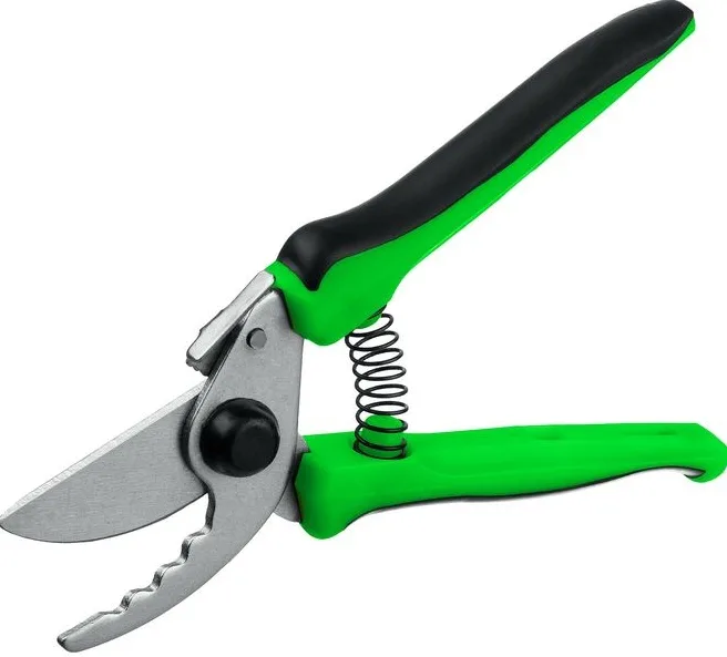 Надежный помощник садовода: как выбрать секатор для дома