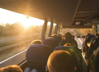 Дорога впечатлений: почему путешествие на автобусе становится особенным опытом