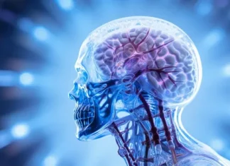 Понимание нервной системы: что такое неврология и почему она важна