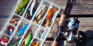 Что такое ламинатор и зачем он нужен: простое решение для защиты документов