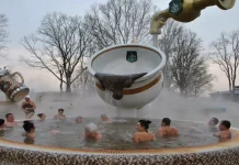 Поїздка в Карпати на 3 дні з Рівного